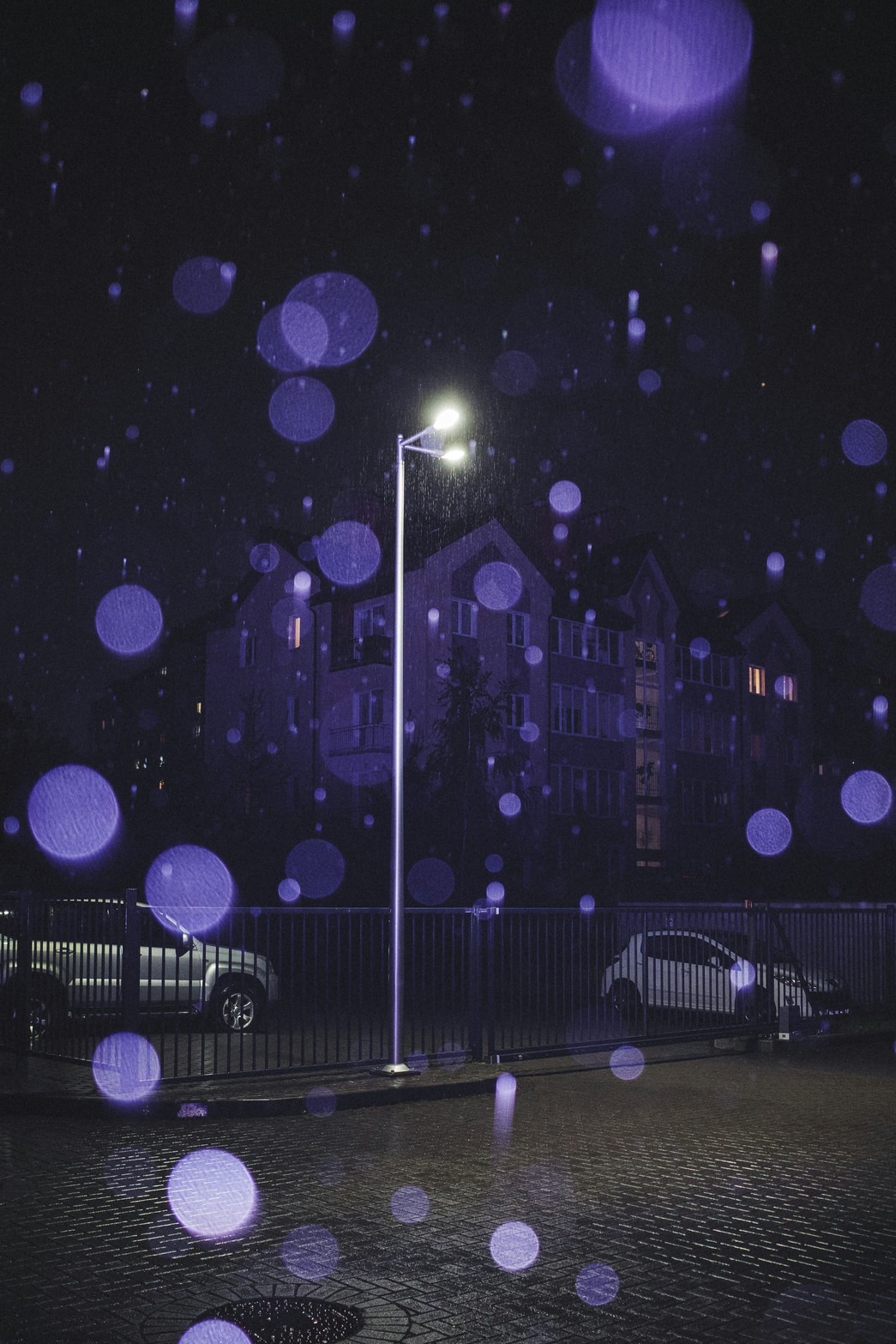 Cosmic Field