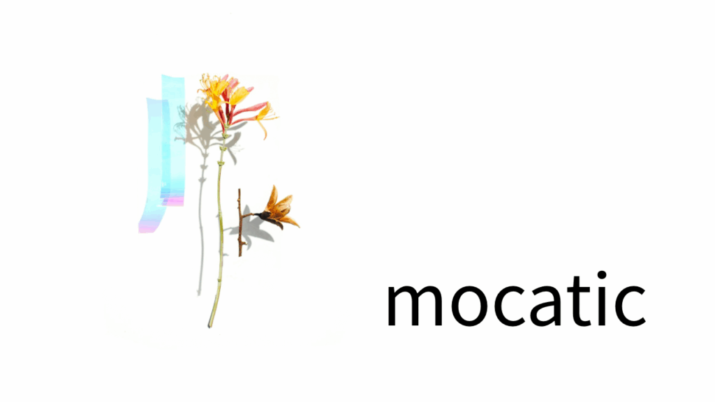 東京・横浜で夜職を探す人へ。オプション強制なし・自由出勤・高コースバック設計。モカティックが描くのは削らない夜、続けられる夜。働くことが生活を軽くする方向に向かう仕組み