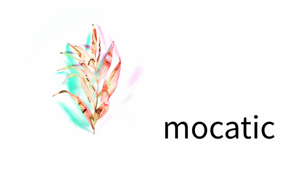 東京や横浜で暮らす若い世代が抱える生きるだけで減る感覚。モカティックが提案するのは、削らずに稼ぎ、焦らずに続けるSlowvivorという働き方。夜の中に、自分のリズムを取り戻す。