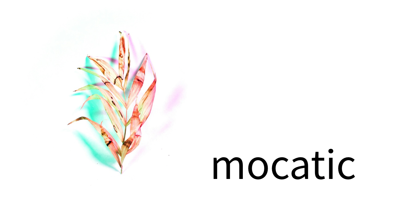 東京や横浜で暮らす若い世代が抱える生きるだけで減る感覚。モカティックが提案するのは、削らずに稼ぎ、焦らずに続けるSlowvivorという働き方。夜の中に、自分のリズムを取り戻す。