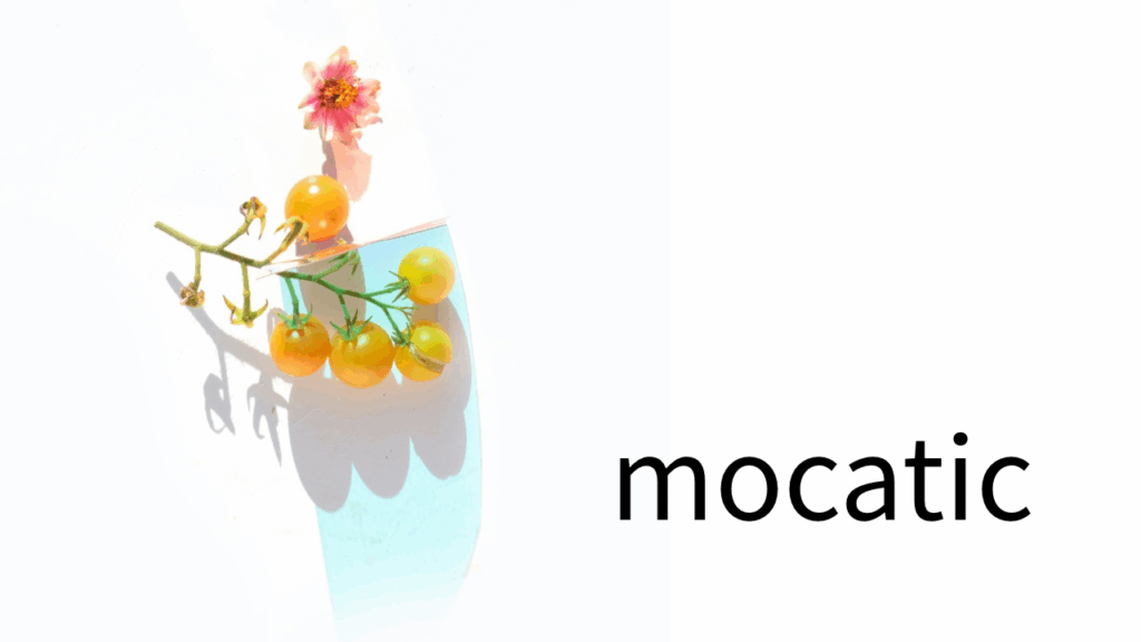 夜職を続ける人には共通点がある。焦らず、比べず、呼吸のリズムを守って働く。モカティックは削らずに稼ぐ仕組みで、心の透間を取り戻す夜をデザインしている。