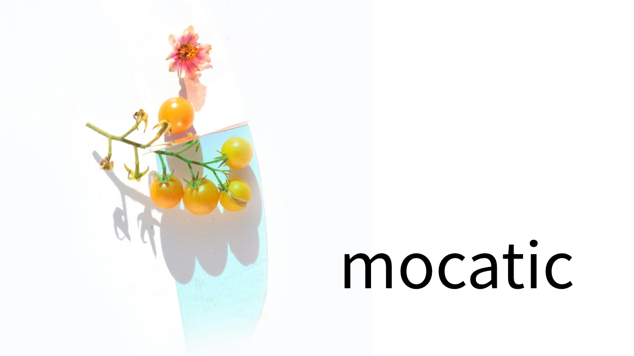 夜職を続ける人には共通点がある。焦らず、比べず、呼吸のリズムを守って働く。モカティックは削らずに稼ぐ仕組みで、心の透間を取り戻す夜をデザインしている。