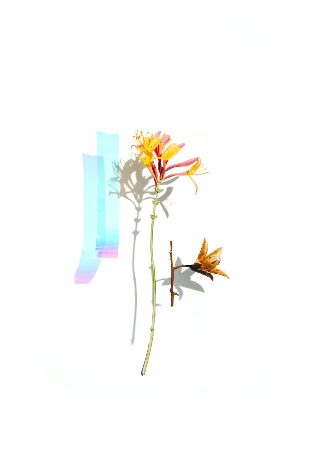 「空気を読む」が優しさと呼ばれる社会でわたしたちは何を失っているのか。 同調圧力を優しさと呼ぶ構造を見直し感情を取り戻すためのエッセイ。